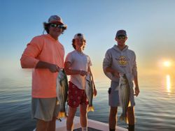 Catching stripers in South Carolina waters!